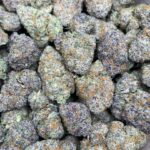 candy gas strain