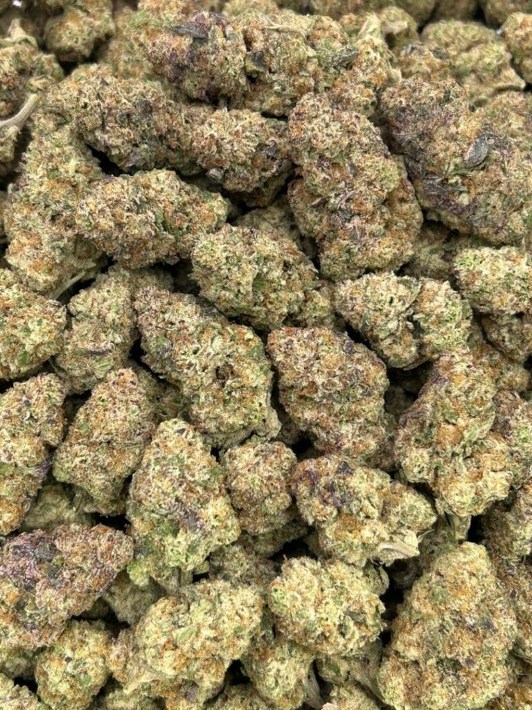 Indoor grown gas candy strain cannabis plant