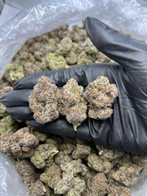 candy gas weed strain Close-up of Candy Gas weed strain trichomes