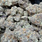 Black Ice weed strain dark purple frosty buds