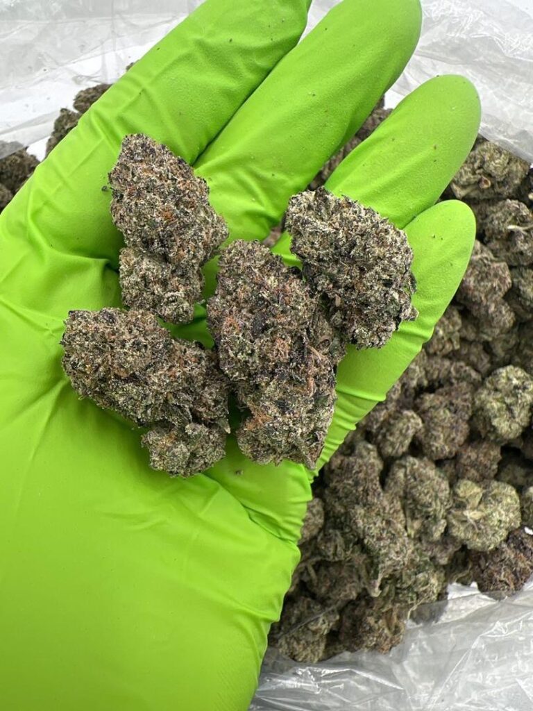 kush mintz strain Candy gas strain anxiety
