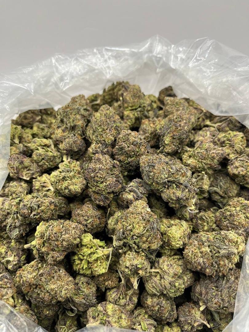 golden goat strain