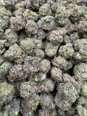 blueberry runtz strain​