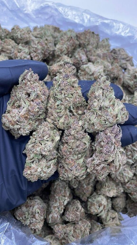 live dispensary display of fruity candy gas buds