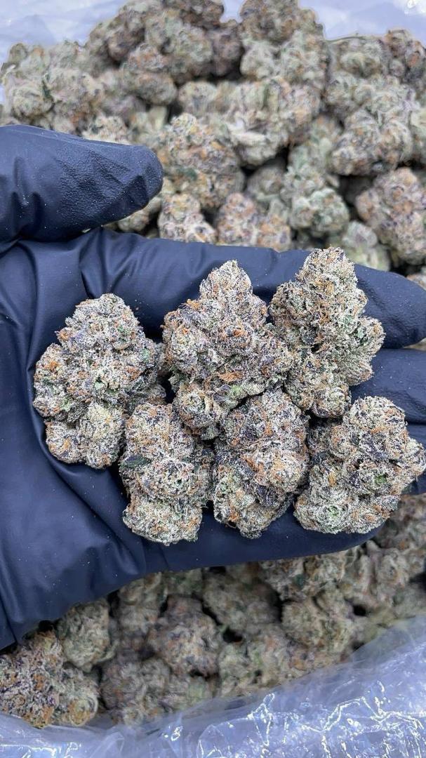 Candy Gas Strain premium cannabis flower with colorful frosty buds