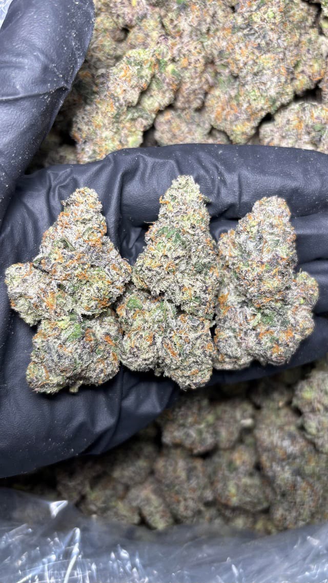 candy gas strain showing huge frosty buds. candy gas for sleep