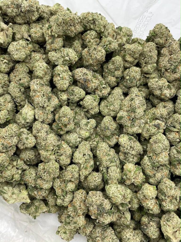 Cannabis Trichomes Guide