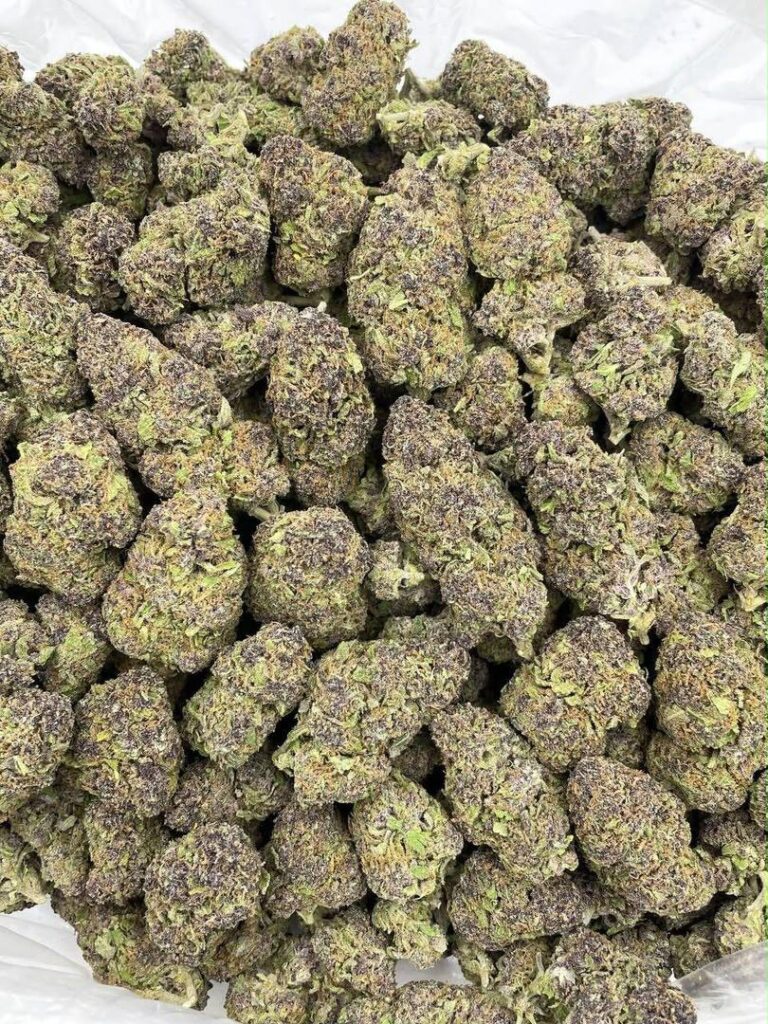 Cannabis Curing Process