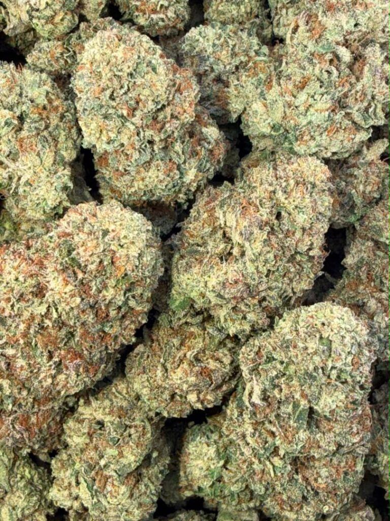 Indica vs Sativa Frosty purple and green Candy Gas cannabis buds with orange pistils, illustrating the strain's dense trichomes and THC percentage