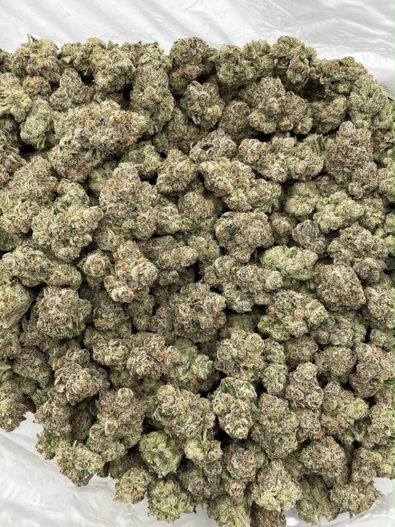 Cannabis Phenotypes Explained
