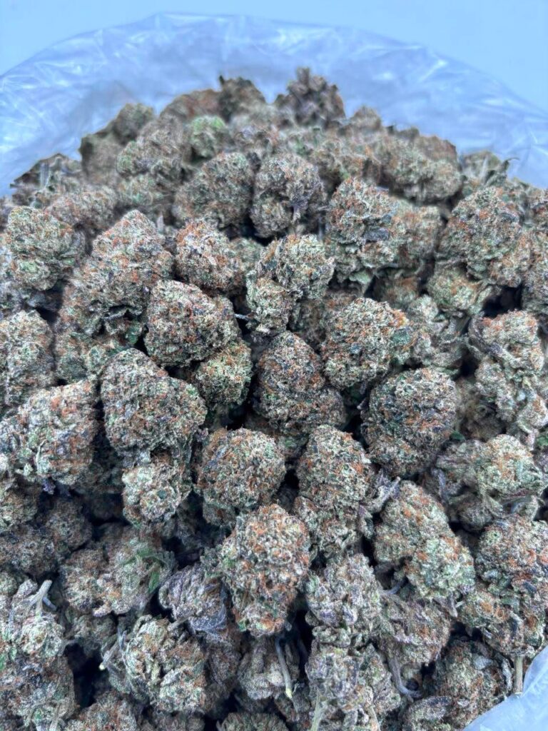 candy gas family Candy Gas Relaxation