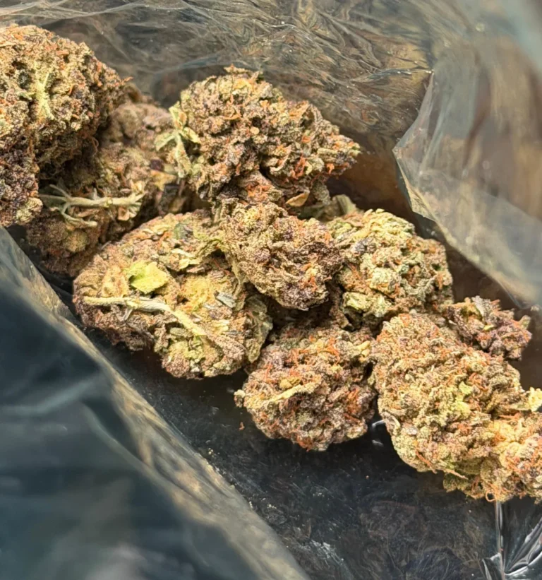 is candy gas indica or sativa. candy gas strain buds in plastic bag
