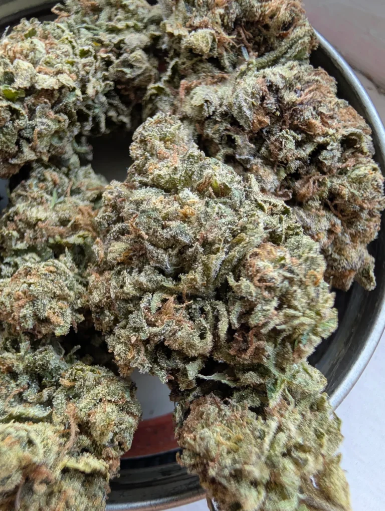 Cannabis Genetics Explained
